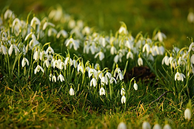 inspirational february quotes