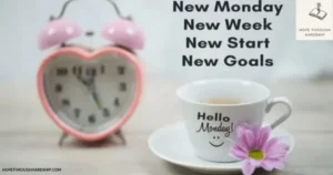 new