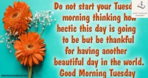 quotes