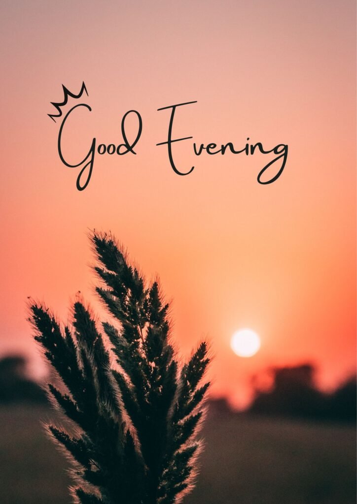 Good Evening Blessings Images for Sharing on Social Media